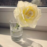 Анна Онищук