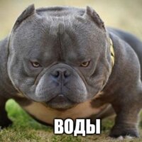 Милана Макарова