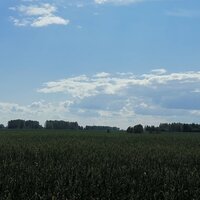 Елена Григоренко