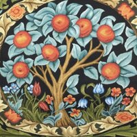 Виктория М.