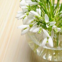 Кристинка Иванова