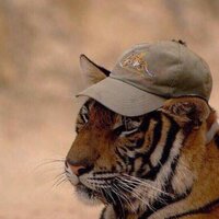 Александр Герасимов