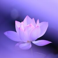 Екатерина Александровна