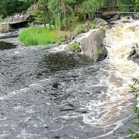 Эдуард Петров