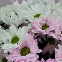 Светлана Карапуз