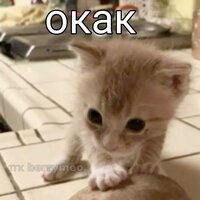 Яна Леонтьева