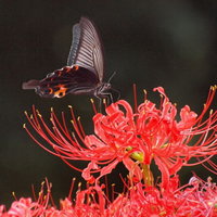 Екатерина Соловьёва