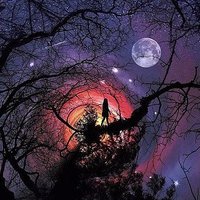 Юлия Козодаева