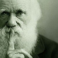 Бородатый дед