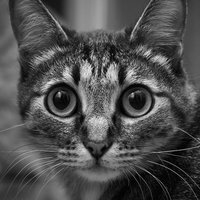 Александра Е.