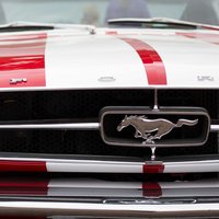 Дмитрий Кузнецов