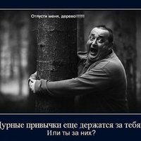 Светлана Г.