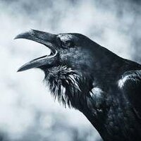 Дмитрий Воронов