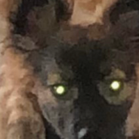 Юлия Хохловаа