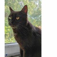 Анна Фадеева