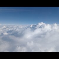 Видеркер Елизавета