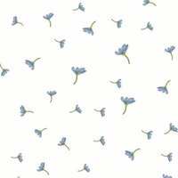 Амина Асланова