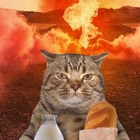 Миша Рогозин