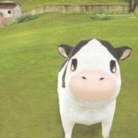 Анастасия К.