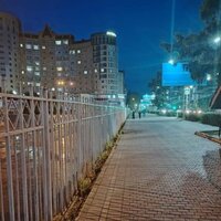 Полина Давыдова