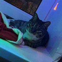 Анастасия Хайруллина