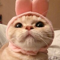 Екатерина Алешина