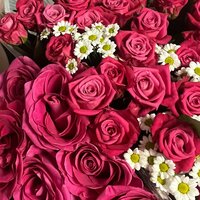 Надежда Синявская