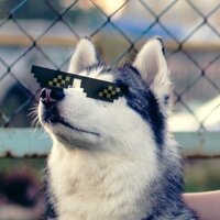 Екатерина Козлова