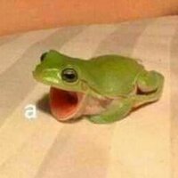 Дарья Лемешенко