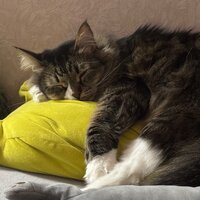 Анастасия П.