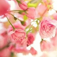 Юлия Морозова