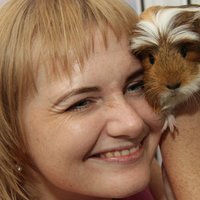 Анна Звездина