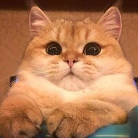 Оля Пушкина