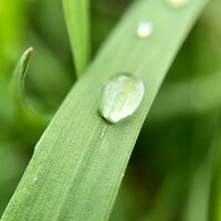 Гусев  Кирилл