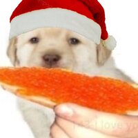 варька костюк