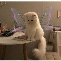 Вика Кустик