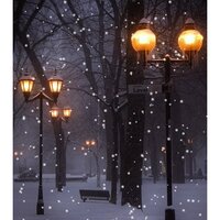 Ирина Прокофьева