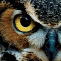 Севелина Савинова