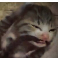 Кристина Б.