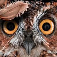 Анастасия М.