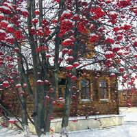 Сухарев Герман