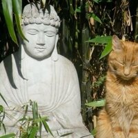 Остаток Дня