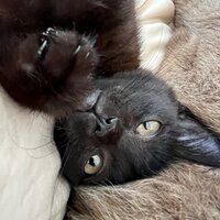 Татьяна Гайдаржи