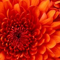 Светлана Р.