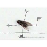 Иванна Афанасьева