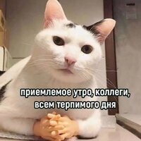 Ольга Ильина