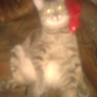 Анатолий Зиновьев