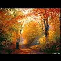 Раиса Сироткина