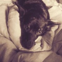 Люба Сажина