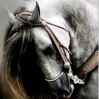 Светлана Панькова